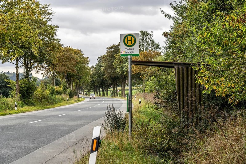 Bus stop in the countryside, on the L828, on Eggestraße, neglected bus shelter, line to Willebadessen, Ostwestfalen Lippe, bus route 541, bus stop Teutonia, Verkehrsverbund fahr mit - Mobil im Hochstift, North Rhine-Westphalia, Germany, Europe