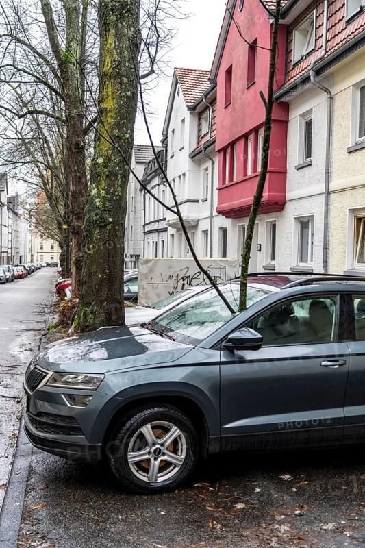 North Rhine-Westphalia, Germany, storm damage, a good 4 metre long branch was broken off by the storm during storm Zoltan and smashed through the windscreen of a parked vehicle, Essen, Europe