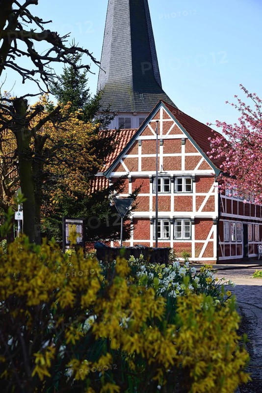 Europe, Germany, Lower Saxony, Altes Land, Jork-Borstel, tree blossom, Große Seite, half-timbered house at the church, church tower, Europe