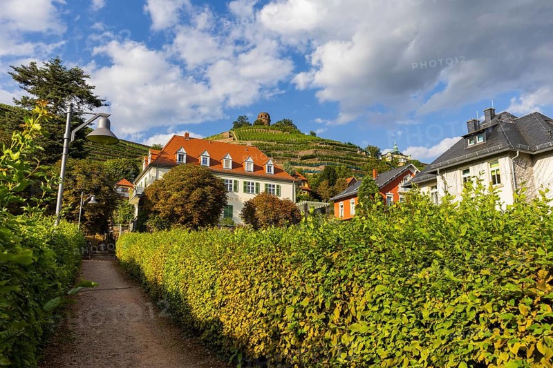 Weingut am Goldenen Wagen. The Spitzhaus is a former summer residence in the Saxon town of Radebeul. The building, which can be seen from afar, is located on the edge of the slope of the Elbe valley basin above Hoflößnitz in the Oberlößnitz district. Even after its renovation and reopening in 1997, the heritage-protected (1) landmark of Radebeul at Spitzhausstraße 36 still serves as an excursion restaurant with a sweeping view over the Elbe valley and as far as Dresden, vineyards in Radebeul, Radebeul, Saxony, Germany, Europe