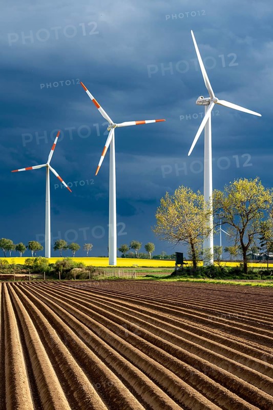 Wind turbines on a rape field, dark rain clouds, in the Rhenish lignite mining area, near Erkelenz-Holzweiler