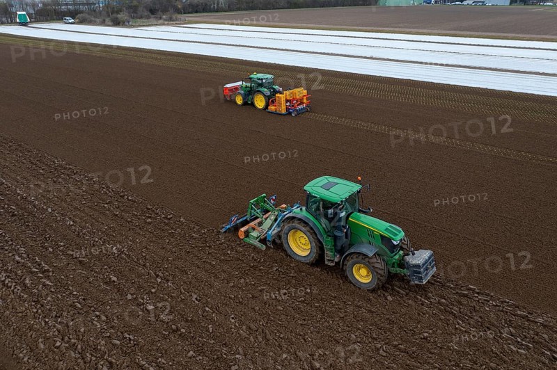 Lettuce plants are planted with a planting machine, tractor with roundabout harrow prepares the soil, agriculture, spring