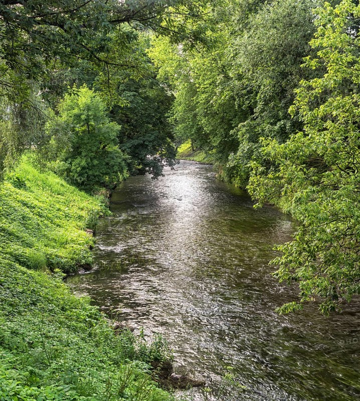 River banks overgrown with green trees. Vilnius. Lithuania
