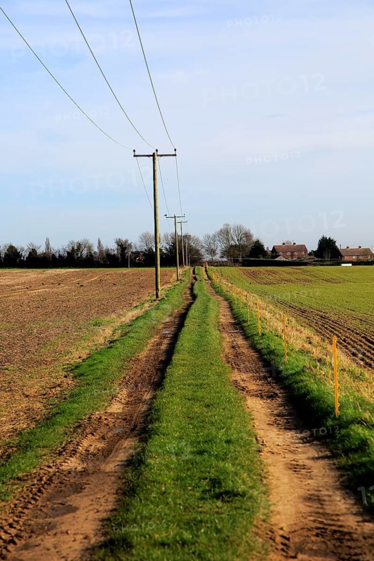 Telegraph poles carrying electricity power cables and pathway through fields Alderton, Suffolk, England, UK