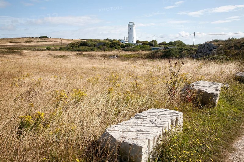 Old white lighthouse now a bird observatory at Portland Bill, Isle of Portland, Dorset, England, United Kingdom, Europe
