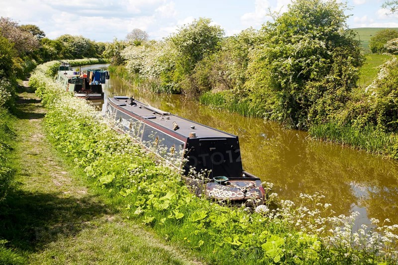 Kennet and Avon canal stretch between All Cannings and Alton Barnes, Vale of Pewsey, Wiltshire, England, United Kingdom, Europe