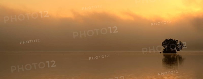 Sunrise at the Edersee with morning mist on the water, small island in the Eder dam, Ederstausee, Hesse, Germany, Europe
