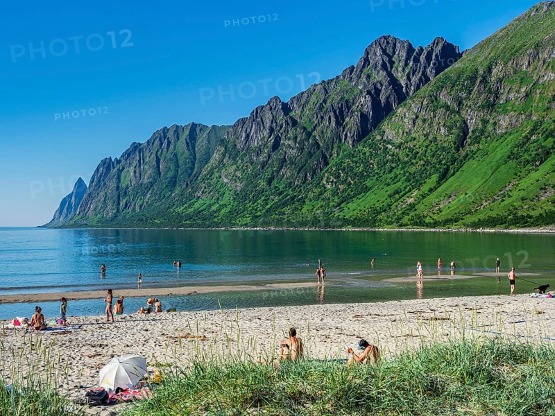 Beach Ersfjordstranden, fjord Ersfjord, public recreation area, summer, people go swimming, view to mountain range Okshornan, island Senja, Troms, northern Norway, Norway, Europe