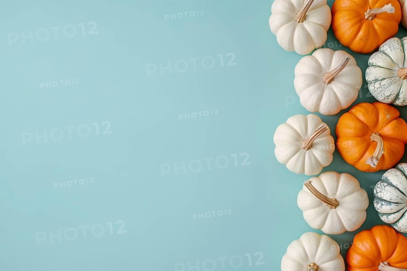 Orange and white pumpkins on pastel blue background with copy space. Generative Ai, AI generated