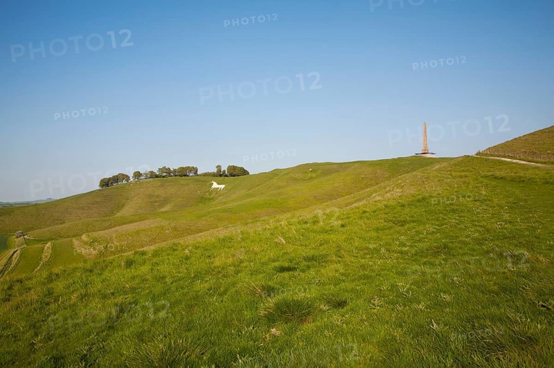Scarp slope of White Horse on Cherhill Down and Lansdowne monument, Cherhill, Wiltshire, England, UK