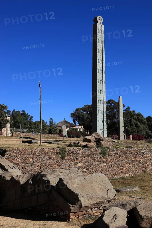 Tigray region, in the stele park of Axum, Aksum, ancient cemetery of the Axumite kings, Ethiopia, Africa