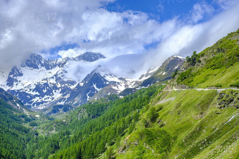 Mountain landscape in the Passeier Valley near Rabenstein above moss in Passeier, South Tyrol, Italy, Europe