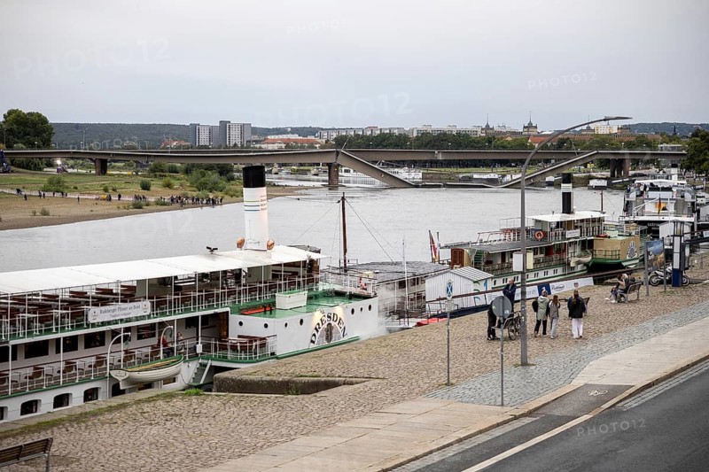 Following the partial collapse of the Carola Bridge in Dresden, shipping traffic on the Elbe is also restricted. Here ships of the White Fleet, 11/09/2024