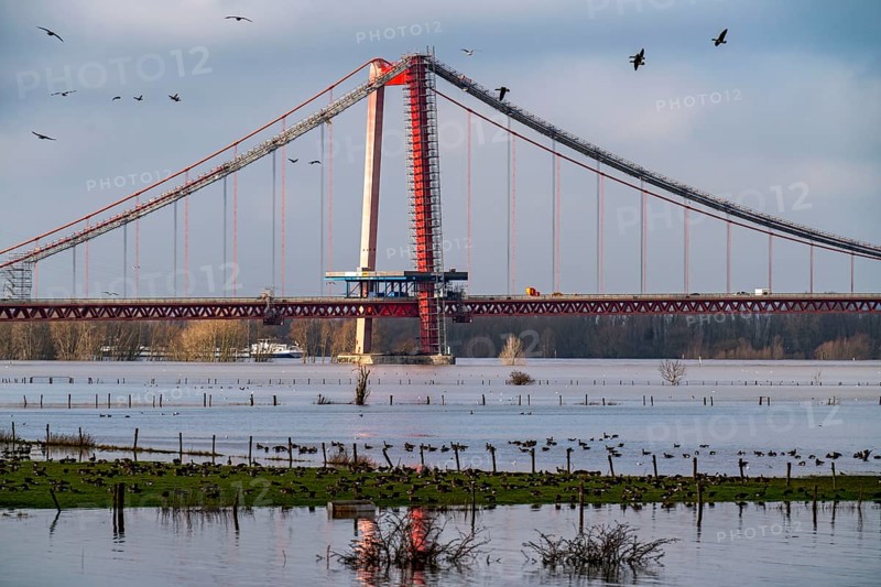 Flood on the Rhine, flooded Rhine meadows, fields, Rhine bridge Emmerich, road bridge of the B220, Lower Rhine, here near Emmerich, North Rhine-Westphalia, Germany, Europe