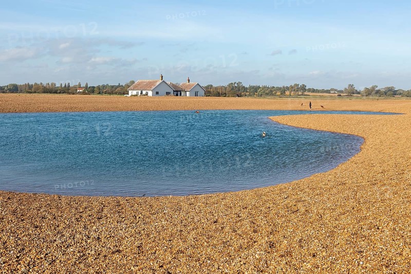 Lagoon of water used by swimmers on beach at Shingle Street, Suffolk, England, UK