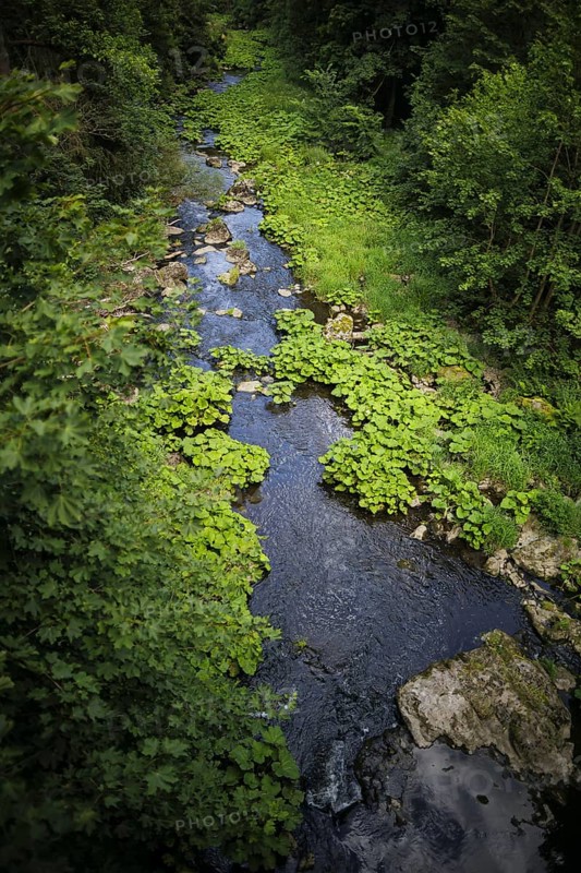 The Selbitz river flows through the Höllental valley between Thuringia and Bavaria. Lichtenberg, 21.07.2024