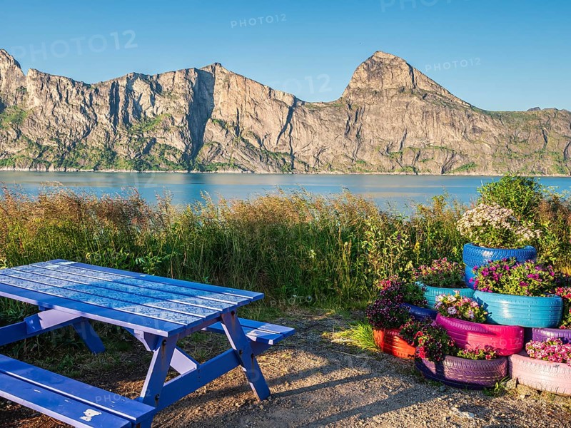 Rest stop, rest area, at the Mefjord, flowers planted in old tires, view to mountain Segla (right) and Hesten (left), island Senja, Troms, Norway, Europe
