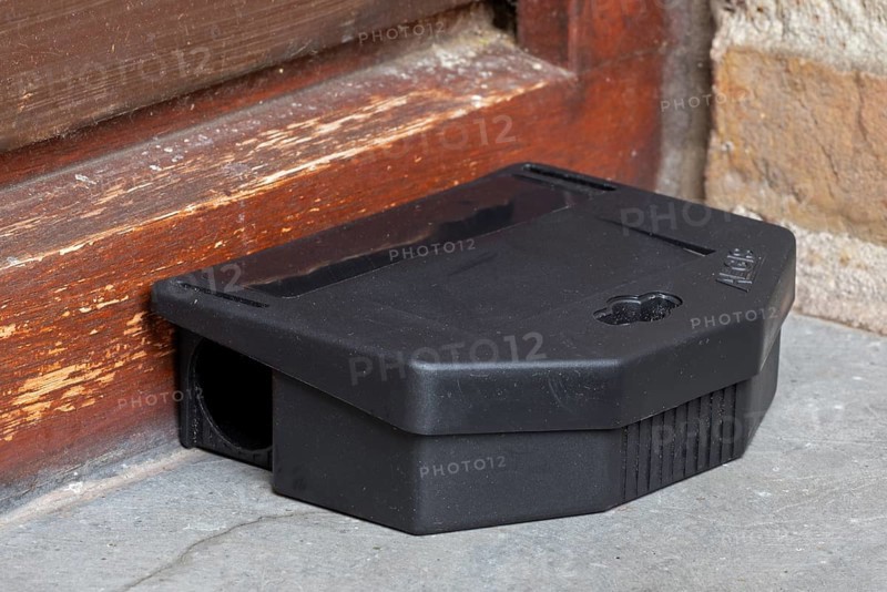 Poisoned plastic box for pest control, mouse bait station filled with rodenticide, poisonous paste as poison to exterminate mice in and around house