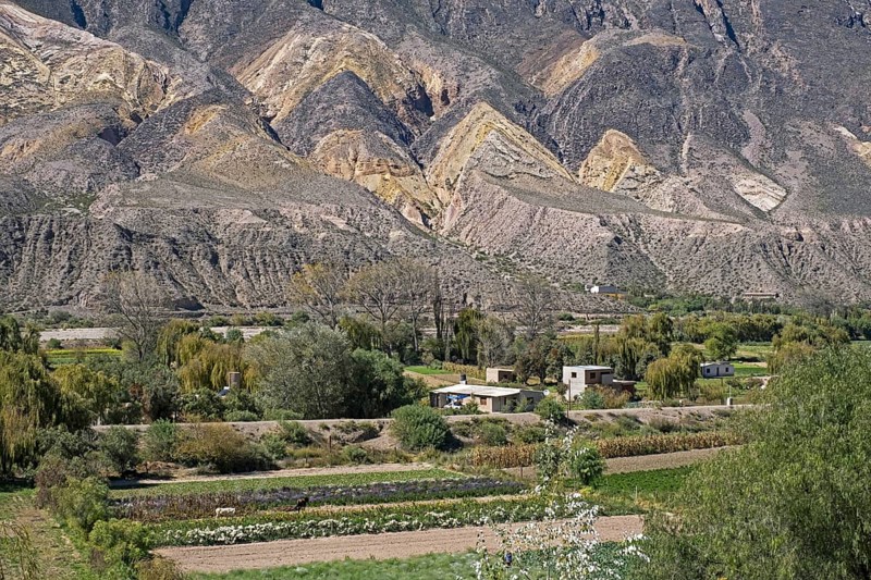 Farm near the village Maimará at foot of the mountain Paleta del Pintor, Painter's Palette in the Quebrada de Humahuaca, Jujuy Province, Argentina, South America