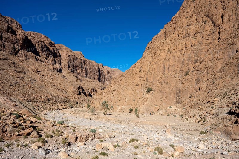 Todra Gorge or Gorges du Toudra, near Tinghir, Morocco, Africa