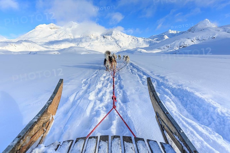 Sled dog ride for tourists in the Arctic, winter, Ammassalik district, East Greenland, Greenland, North America