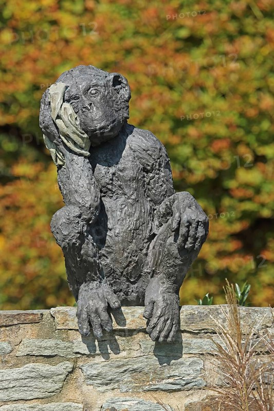Sculpture A & E Monkey by Laura Ford, monkey figure, sitting, detail, head, headache, injury, head injury, cloth, bandage, pity, compassion, help, medicine, sick, grey, bronze, sculpture park, Niederhöchstadt, Eschborn, Taunus, Hesse, Germany, Europe