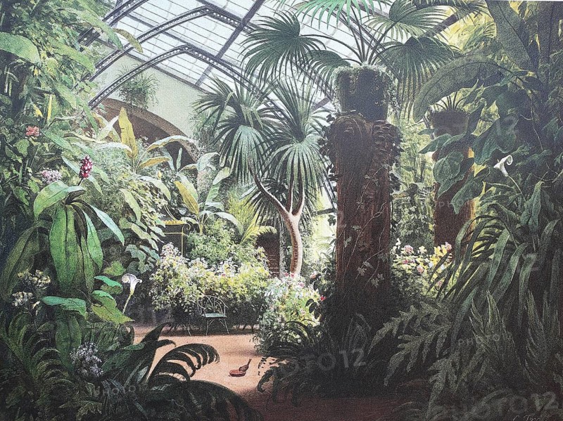 Historic, digitally restored reproduction from a 19th century original, Record date not stated, Winter Garden in Friedenstein Castle, 1844, Gotha, Thuringia, Germany, Europe