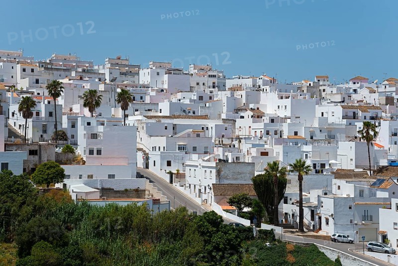 City panorama with densely built white houses and palm trees on a hill, New Town, Vejer de la Frontera, Province of Cadiz, Cadiz, Andalusia, Spain, Europe
