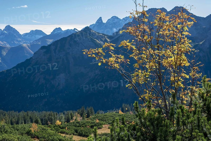 Autumn in the Allgäu, mountain panorama from Fellhorn 2037m, on Großer Krottenkopf, 2656m and Kratzer, 2427m, Hornbachkette, Trettachspitze 2595m and Mädelegabel 2645m, Central Main Ridge, Allgäu Alps, Bavaria, Germany, Europe