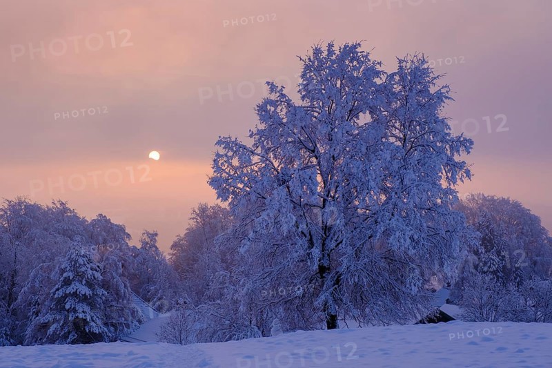 Sunrise with hoarfrost in winter, at the Schlossberg, Eurasburg, Loisachtal, Upper Bavaria, Bavaria, Germany, Europe
