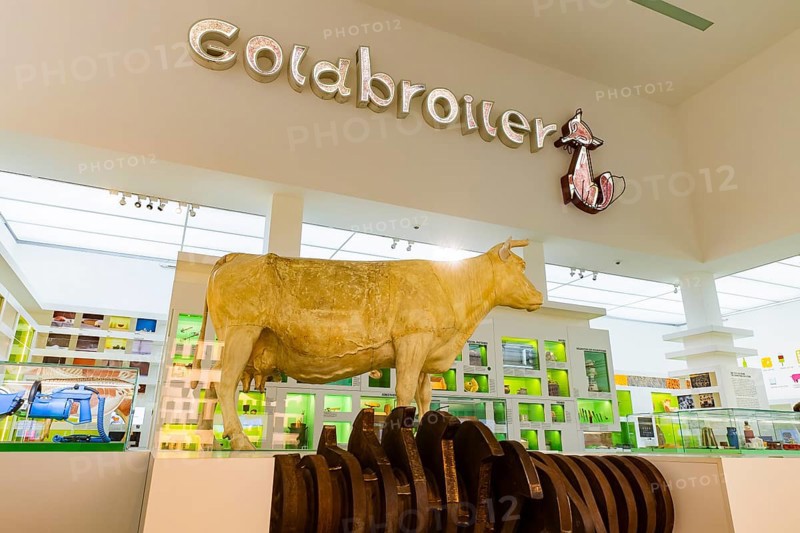 Founded in 1912, the Deutsches Hygiene-Museum is a museum in Dresden. It sees itself as a public forum for science, culture and society. Illuminated lettering Goldbroiler from the Schillergarten in Dresden