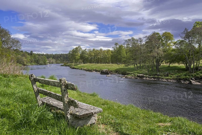 Old weathered wooden bench on riverbank along the river Spey in spring at Grantown-on-Spey, Highland, Moray, Scotland, UK