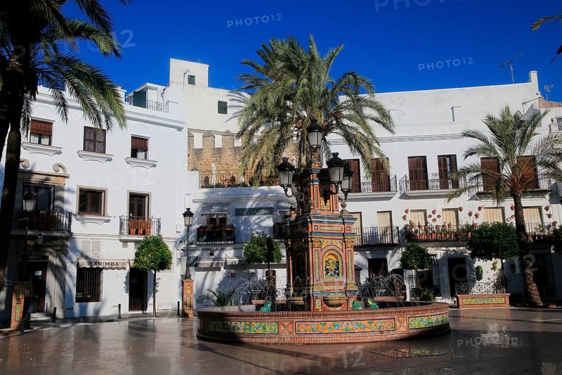 Fountain and palm trees in Plaza de Espana, Vejer de la Frontera, Cadiz Province, Spain, Europe
