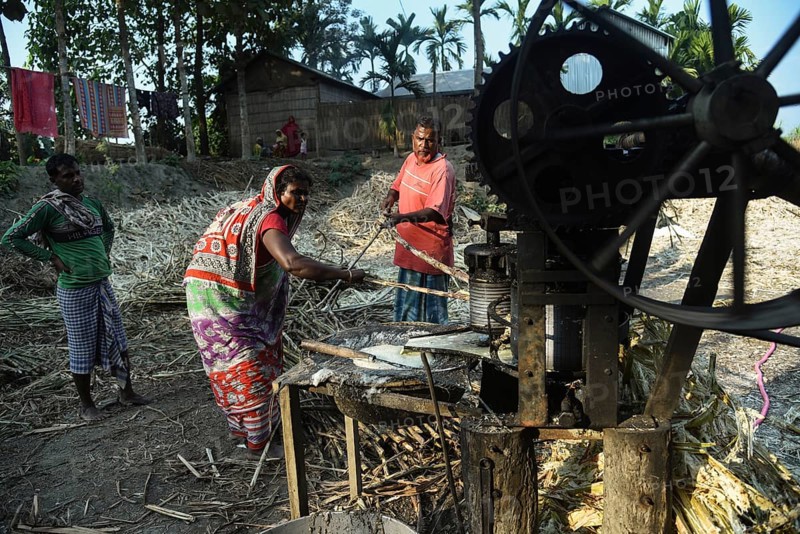 Workers making sugarcane juice to production of Gur (jaggery) in a village on December 10, 2021 in Barpeta, Assam, India. Gur (jaggery) is a natural product of sugarcane, makes from raw, concentrated sugarcane juice, consumed in the Indian Subcontinent and Southeast Asia