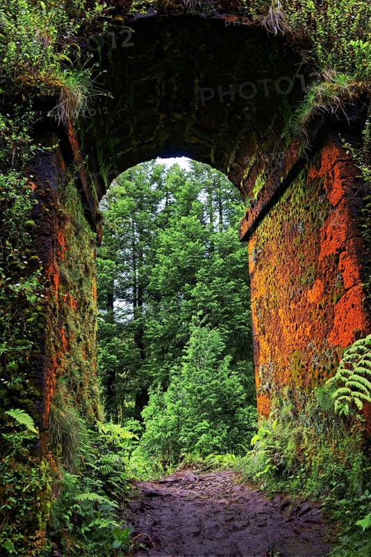 A moss-covered historic aqueduct Muro das Nove Janelas with rustic arches in the forest, crater circular hiking trail, Caldeira das Sete Cidades, Muro das Nove Janelas, Sao Miguel, Portugal, Europe