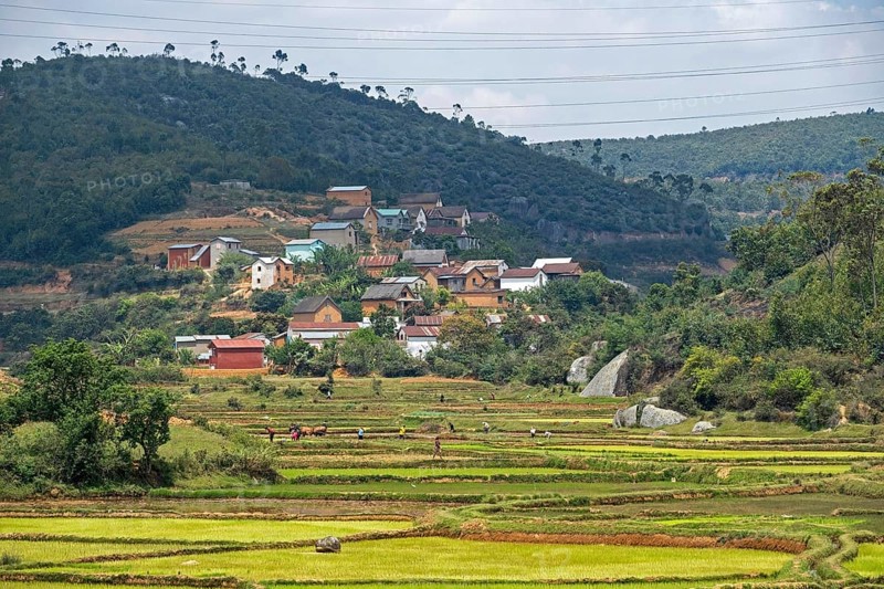 Rural village and Malagasy farmers working on terraced rice field in the Alaotra-Mangoro Region, Eastern Madagascar