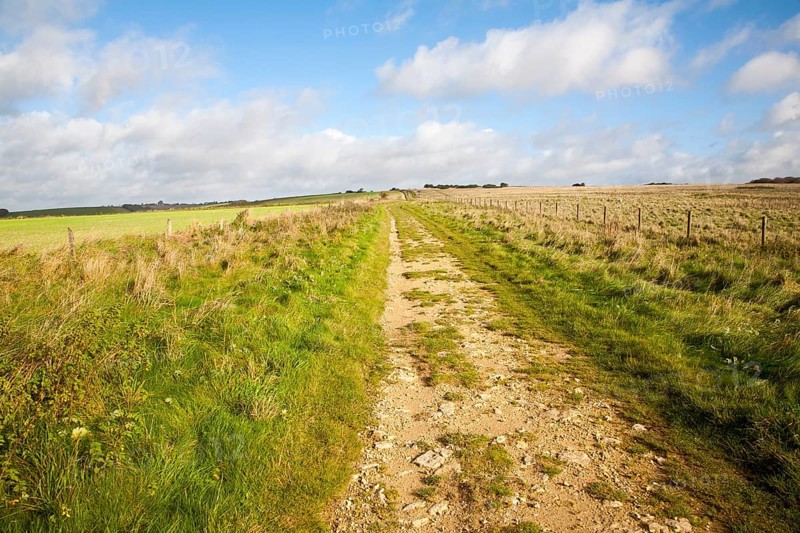 The Ridgeway long distance footpath dating from prehistory near its start on Overton Hill, Marlborough Downs, Wiltshire, England, UK