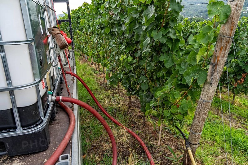 Upper Middle Rhine Valley, water tank for irrigating grapevine plants, in the Kapellenberg vineyard near Lorch, Hesse, Germany, Europe
