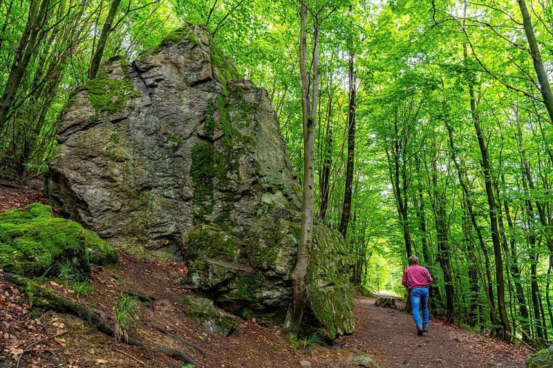 Forest below the Bruchhauser Steine, rocks that have travelled down the slope over the last ten millennia, in the Hochsauerland district, rock formations with four main rocks, on the Istenberg in the Rothaargebirge, Bruchhausen, Olsberg, North Rhine-Westphalia, Germany, Europe