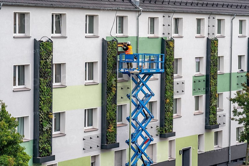 Installation of façade greenery on 4 apartment blocks on Gladbecker Straße, B224, to filter nitrogen oxides and fine dust particles from the air, climbing vines, flowering shrubs, grasses, ferns and ivy grow in the vertical gardens, Essen, North Rhine-Westphalia, Germany, Europe