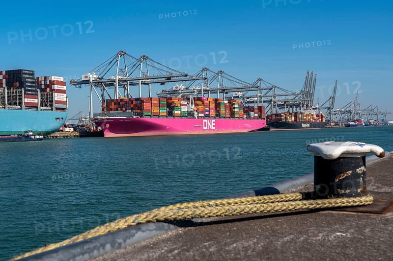 The seaport of Rotterdam, Maasvlakte, Hutchinson ECT Delta Terminal, Container Terminal, in the AmazonehavenContainer freighters from MOL, ONE, Hapag-Lloyd, Rotterdam Netherlands