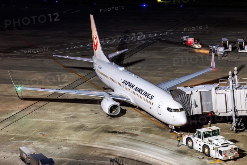 A Boeing 737-800 aircraft of Japan Airlines JAL with the registration JA316J at Tokyo Haneda Airport, Japan, Asia