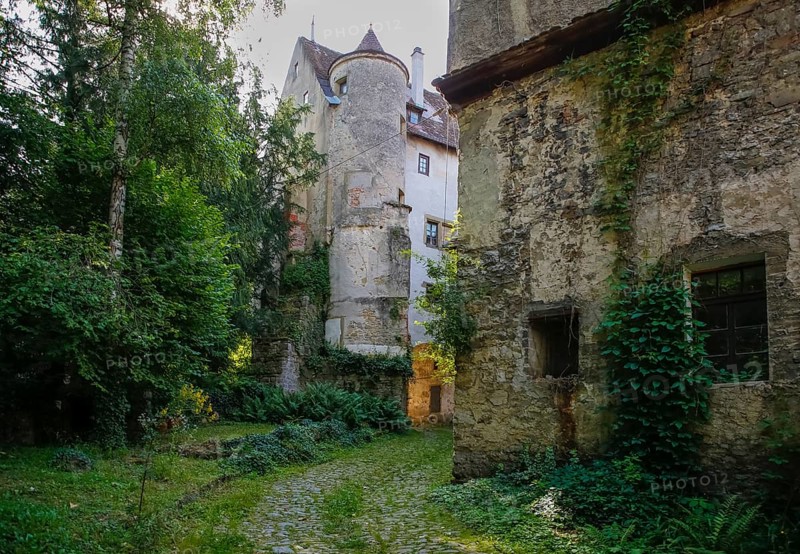 Hochberg Castle, formerly Hochberg Castle, Hohenberg Castle, former seat of the Hochberg lordship, inner courtyard, historic building, architecture, climbing plants, Hochberg district, Remseck am Neckar, Ludwigsburg district, Baden-Württemberg, Germany, Europe