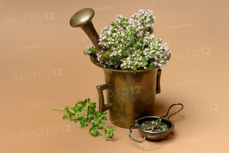 Flowering oregano in a mortar and dried oregano in a tea strainer, Origanum vulgare