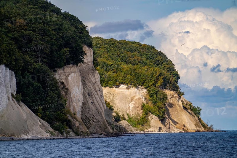 The chalk cliffs of Rügen, cliffs of the Stubbenkammer, in the Jasmund National Park, view of the Baltic Sea and the chalk cliffs coast, between Sassnitz and Lohme, Mecklenburg-Western Pomerania, Germany, Europe