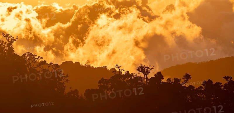 Evening mood, clouds over cloud forest, mountain rainforest, Parque Nacional Los Quetzales, Costa Rica, Central America