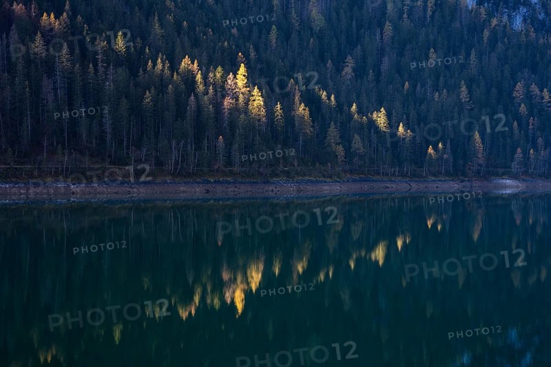 The lakeshore at Vorderer Gosausee in the morning in autumn. Sun spot on yellow larches. Reflection. Vorderer Gosausee, Gosau, Gosau Valley, Salzkammergut, Upper Austria, Austria, Europe