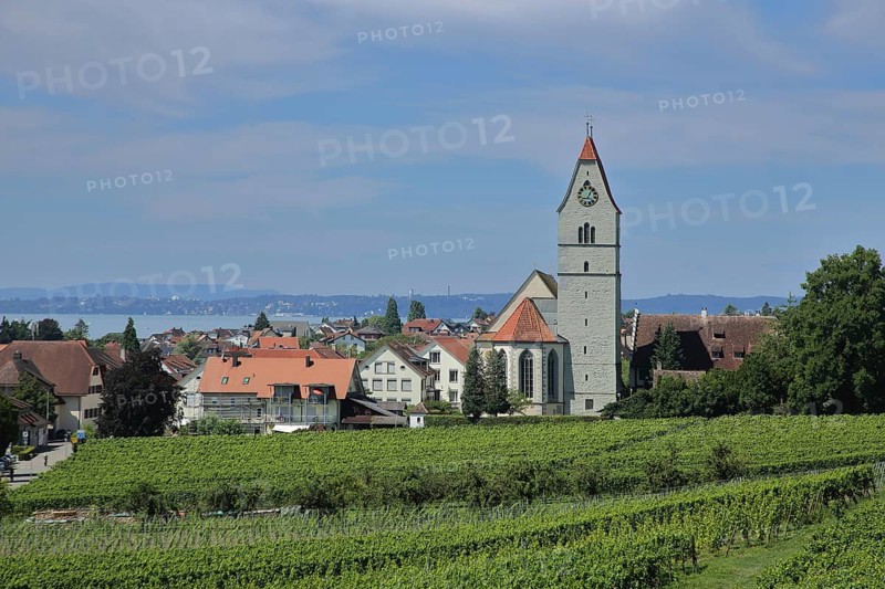 View of Hagnau with St. Johann Baptist church, landscape with vineyards, wine-growing area, Obersee, Lake Constance, Lake Constance area, Baden-Württemberg, Germany, Europe