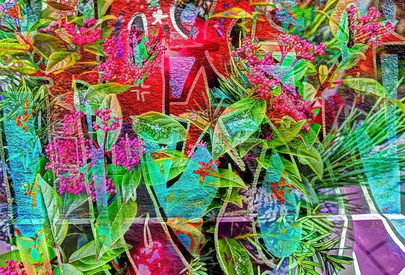 Christmas motif, Christmas, Christmas, Christmas festival, Advent season, Christmas baubles, jewellery, Advent season, artistic photography, alienation, Christmas decoration, Christmas card motif, creative photography, all over, allover pattern, Japanese fruit skimmia (skimmia japonica), evergreen perennial, red flowers, graffiti, mixed media, Germany, Europe