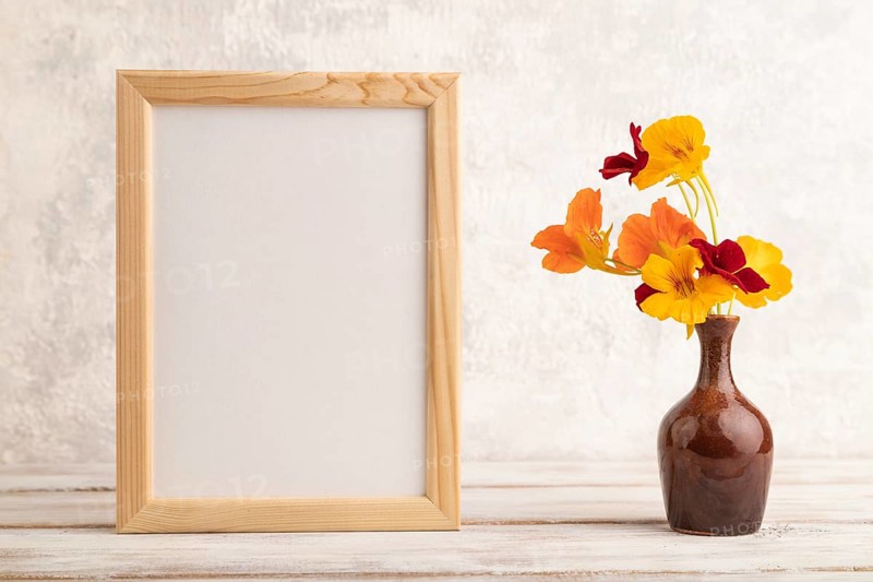 Wooden frame with orange nasturtium flowers in ceramic vase on gray concrete background. side view, copy space, still life, mockup, template, spring, summer concept